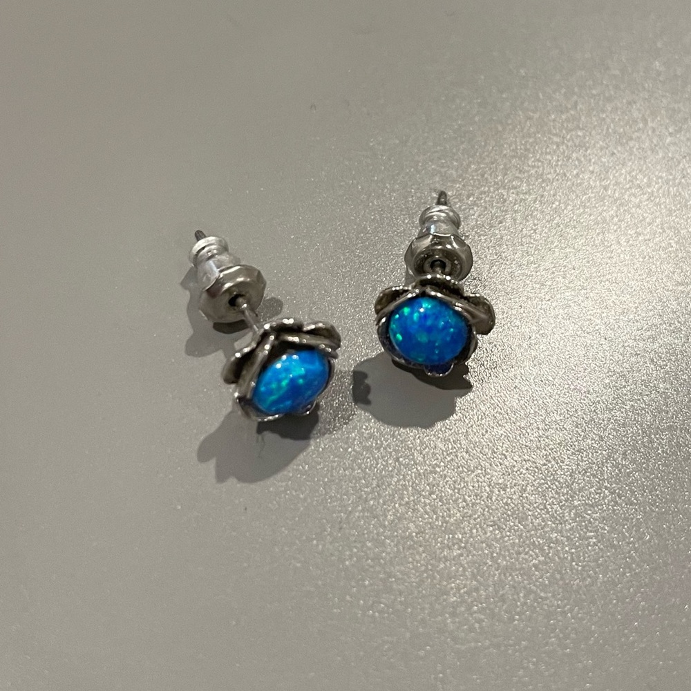 Sterling Silver Earrings With Bright Blue Center